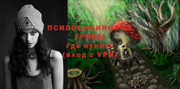 бутират Алексеевка