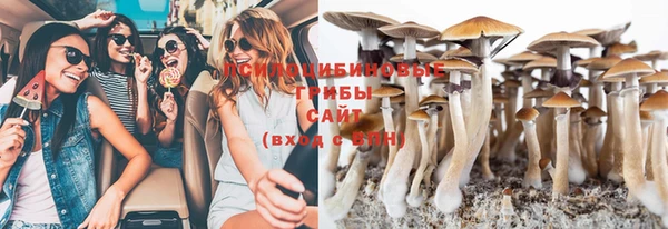ECSTASY Мегион