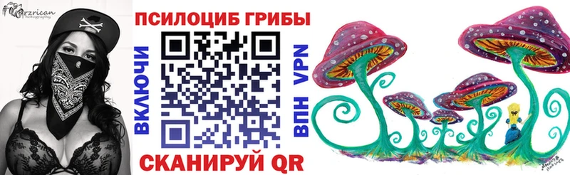 Псилоцибиновые грибы мицелий  продажа наркотиков  blacksprut маркетплейс  Набережные Челны 